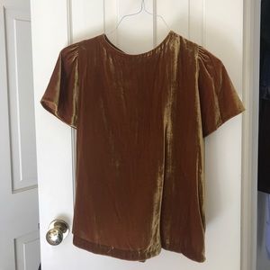 Loft Velvet Flutter-Sleeve Blouse